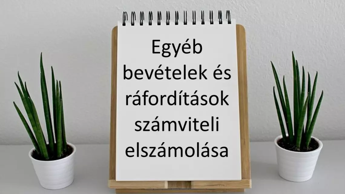 Egyéb bevételek és ráfordítások számviteli elszámolása - jegyzet