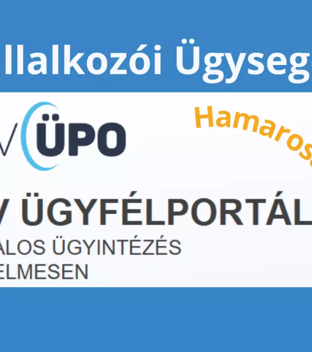 NAV sajt&oacute;k&ouml;zlem&eacute;ny a V&aacute;llalkoz&oacute;i &Uuml;gyseg&eacute;dről